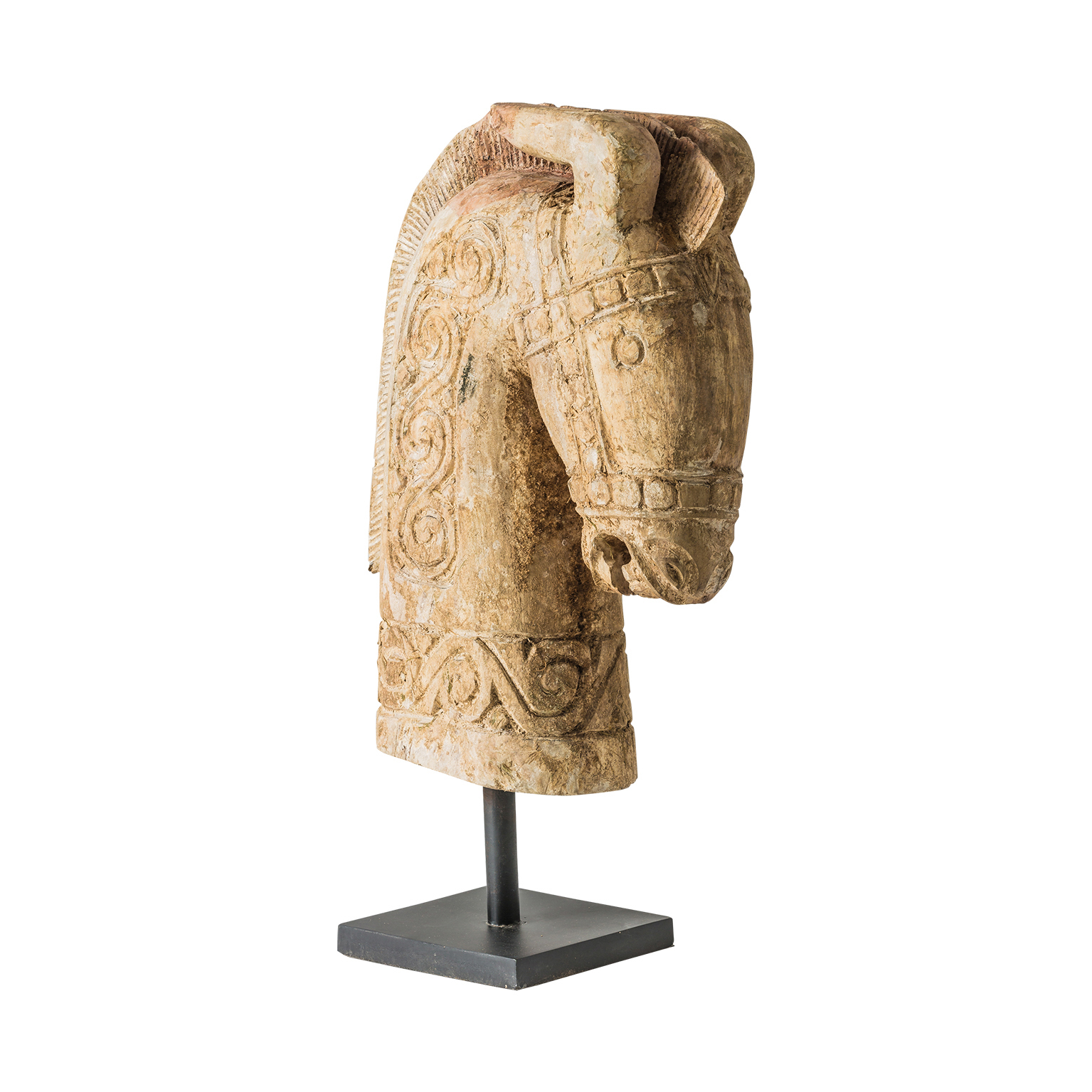 Cavallo Bust