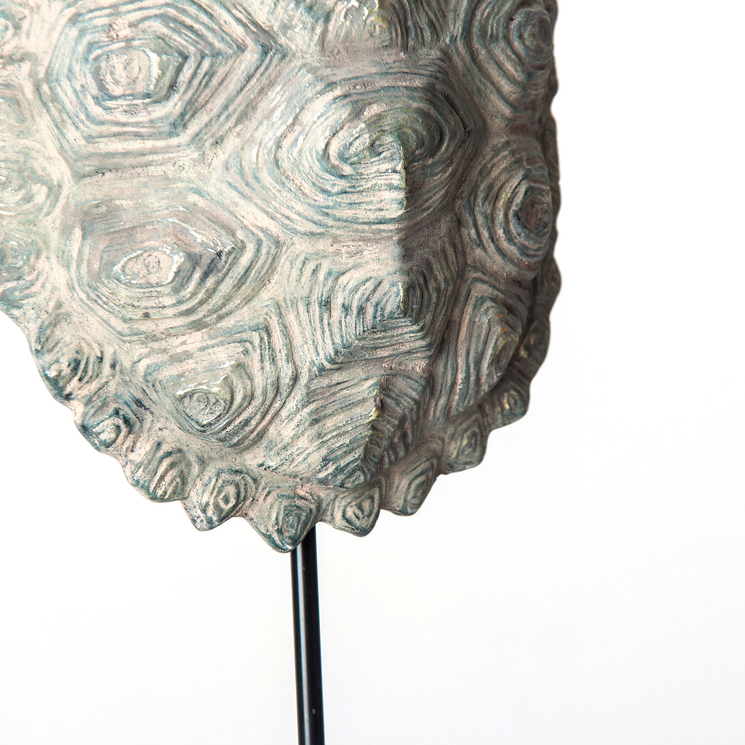 Carapace Tortoise Decorative Figure