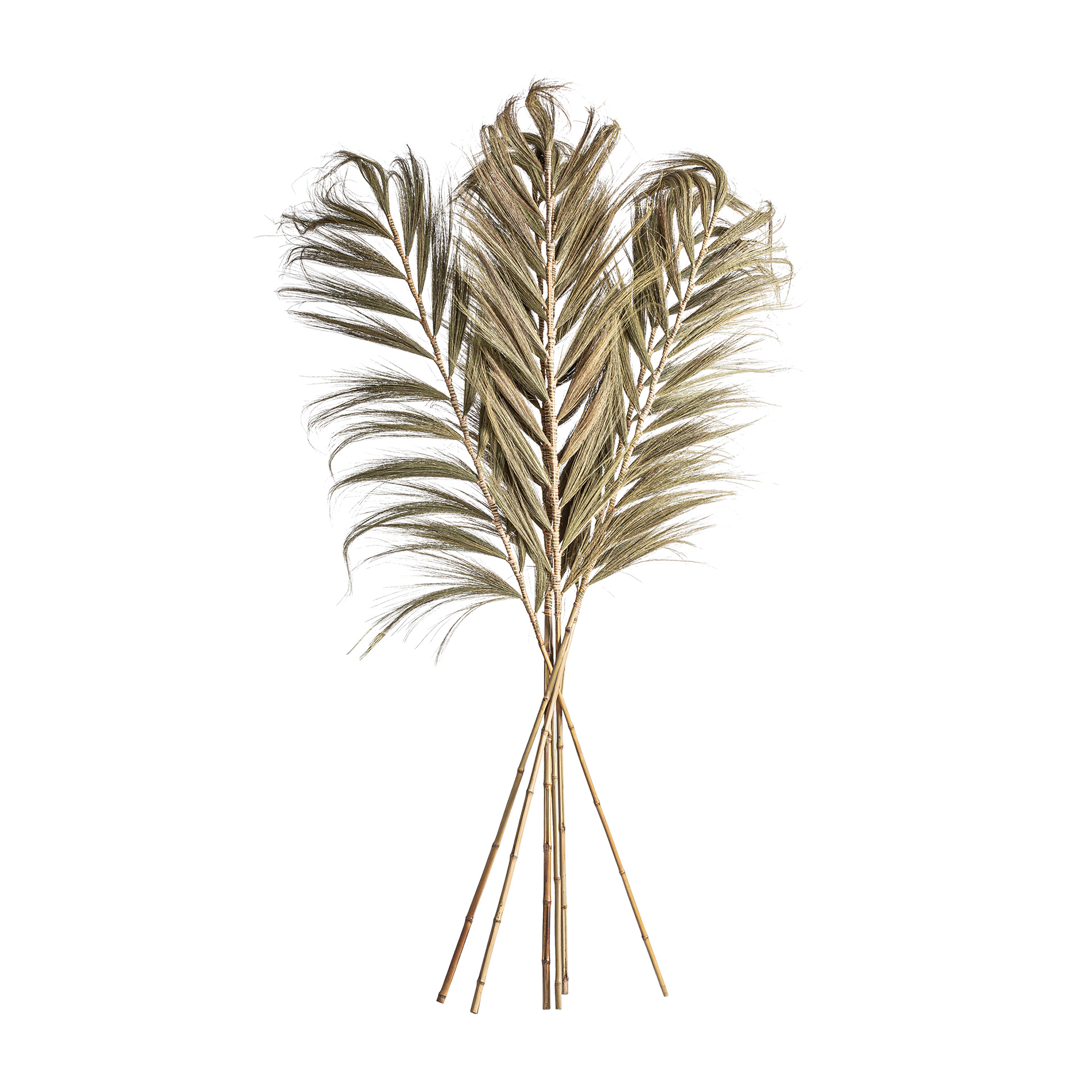 Decorative Branch (Set Of 6)