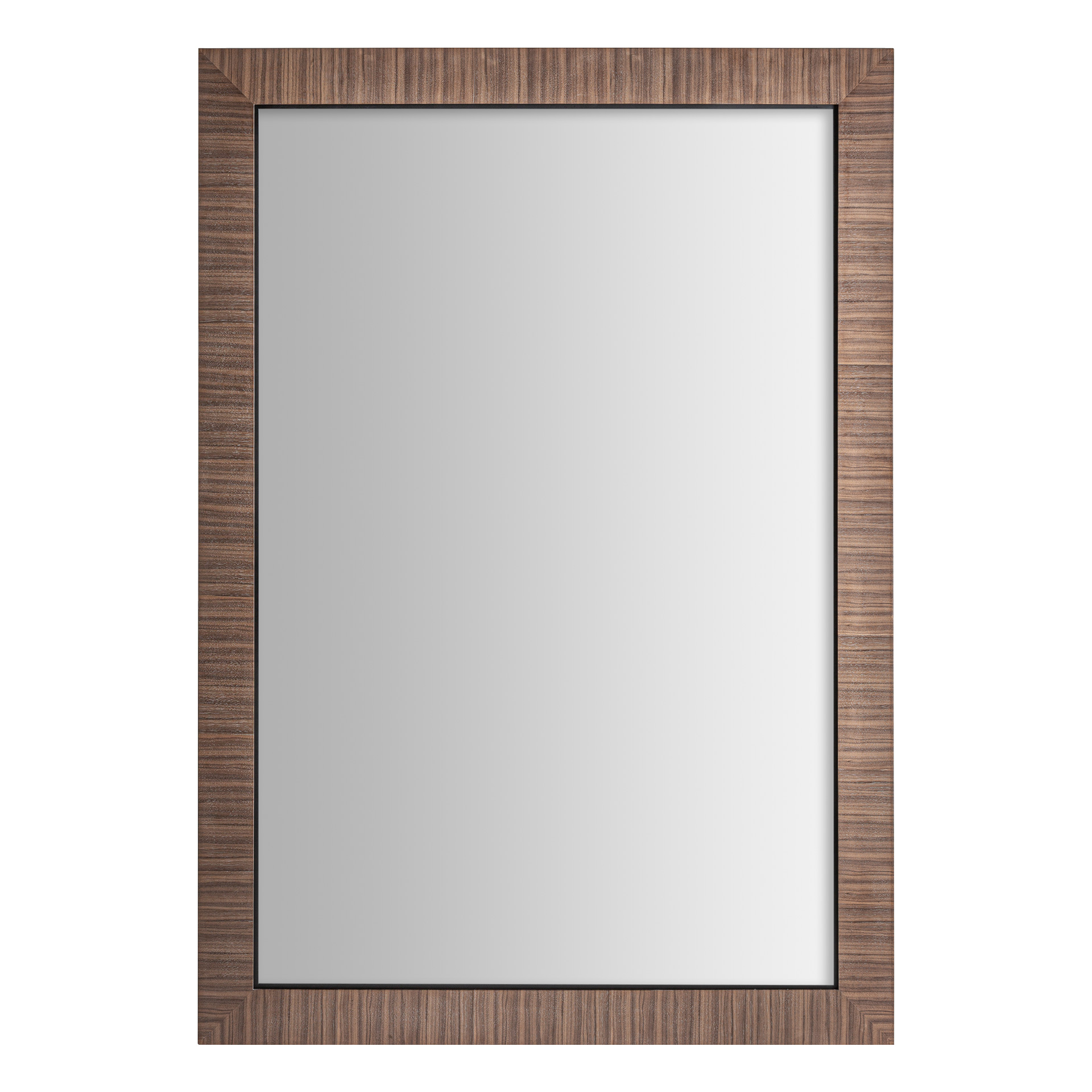 Rhine Mirror