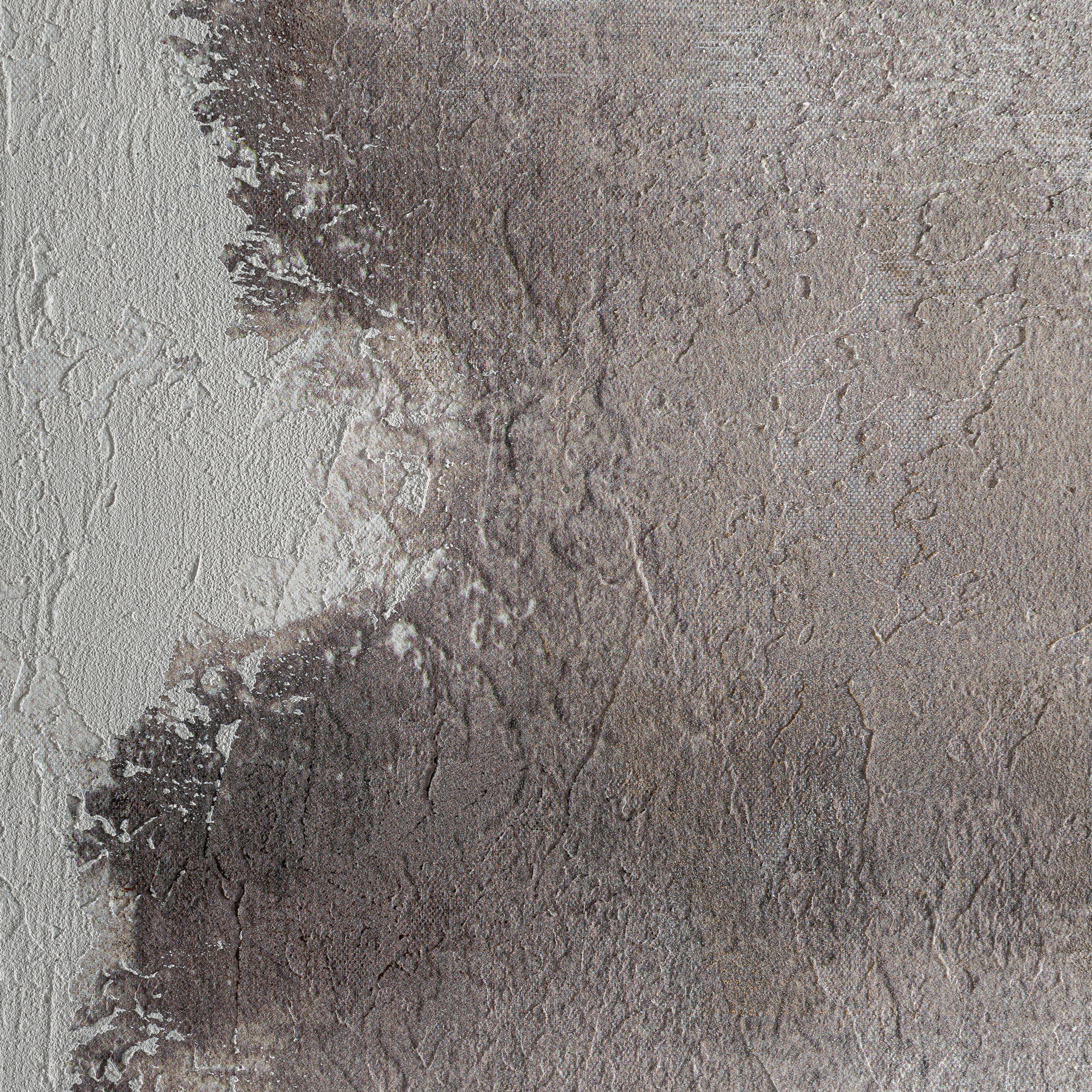 Navell Wall Art